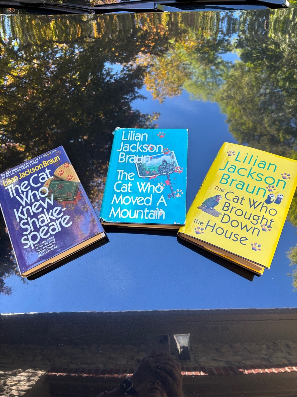 Lillian Jackson Braun, Cat story books